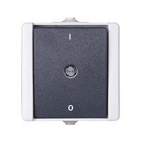 Plate & Light Switches